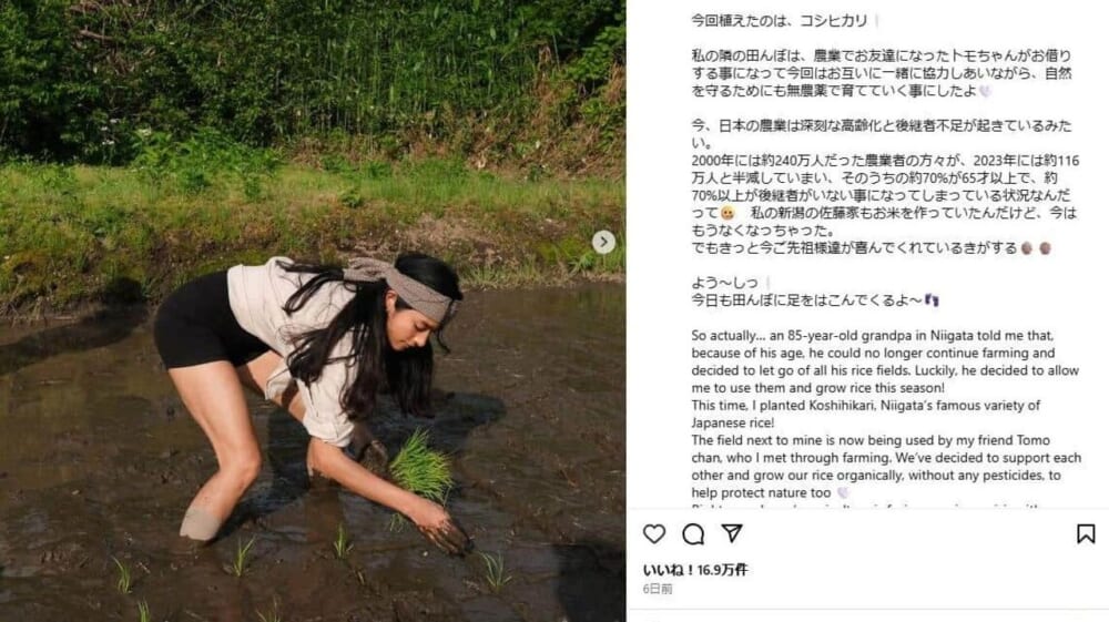 【裸足で田植え】は危険だと思いますか？