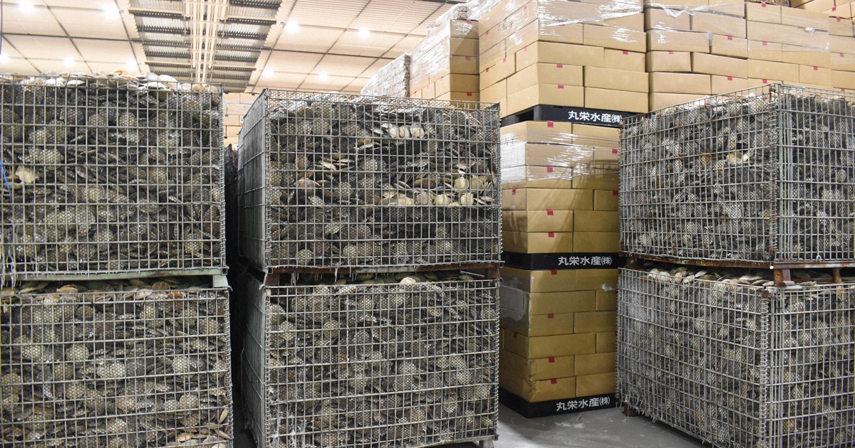 ホタテ殻むきなどの加工業務、受刑者の刑務作業に　政府方針 | 毎日新聞