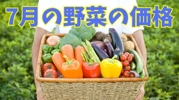 【7月の野菜の価格】レタス・ブロッコリーが安い！　農林水産省より野菜の生育状況及び価格見通し発表 | マネーの達人