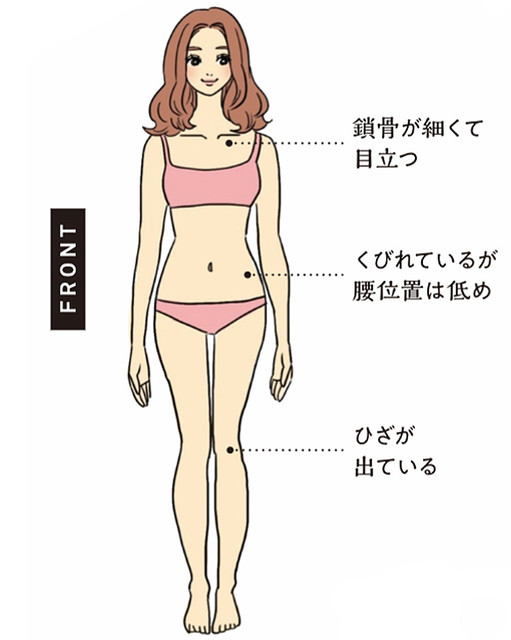 骨格診断でどれに当てはまると思いますか？