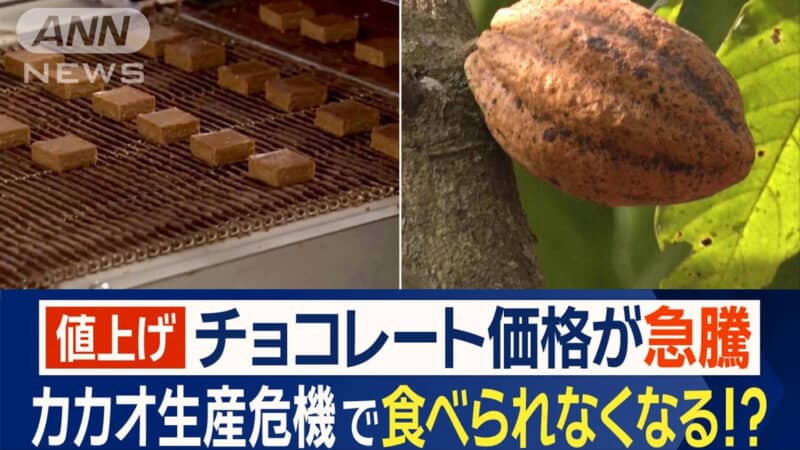 【チョコレートも贅沢品に！】色々な物の値上げに慣れてしまった感覚はありますか？