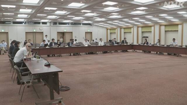 「遺族厚生年金」再来年の制度改正に向け議論へ 厚労省審議会 | NHK