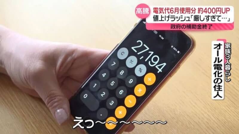 電気代の値上げは、定額減税の効果を打ち消すと思う？