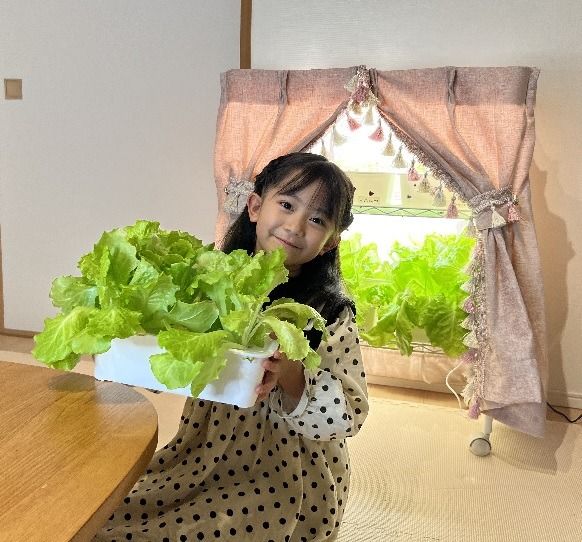 子どもの「おこづかい廃止」→家庭内キットで野菜栽培→親に販売して〝経済的自立〟 ユニーク商品化が話題｜よろず〜ニュース