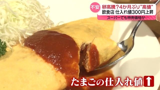 【鶏も夏バテ】また家計が苦しくなりそうですか？