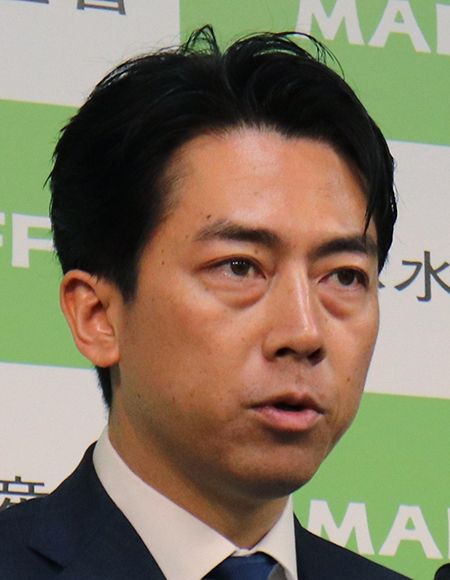 参院選どこに投票するor投票した？