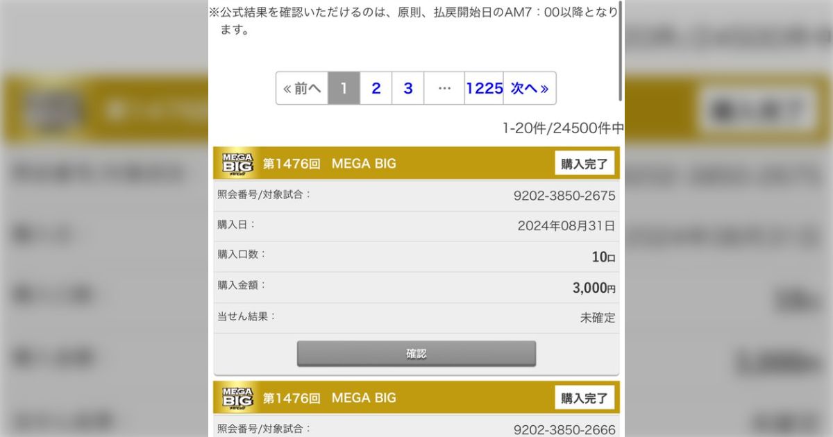 台風の影響で期待値プラスになったMEGA BIGに全財産7350万円を突っ込んだ人の様子「宝くじに人生賭けるとは思わなかった」