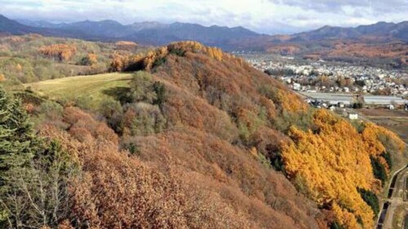 メガソーラー事業者が違法工作物