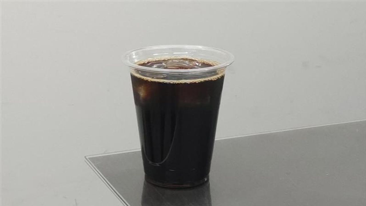 100均のコーヒーの苗 家で巨大化 - Yahoo!ニュース