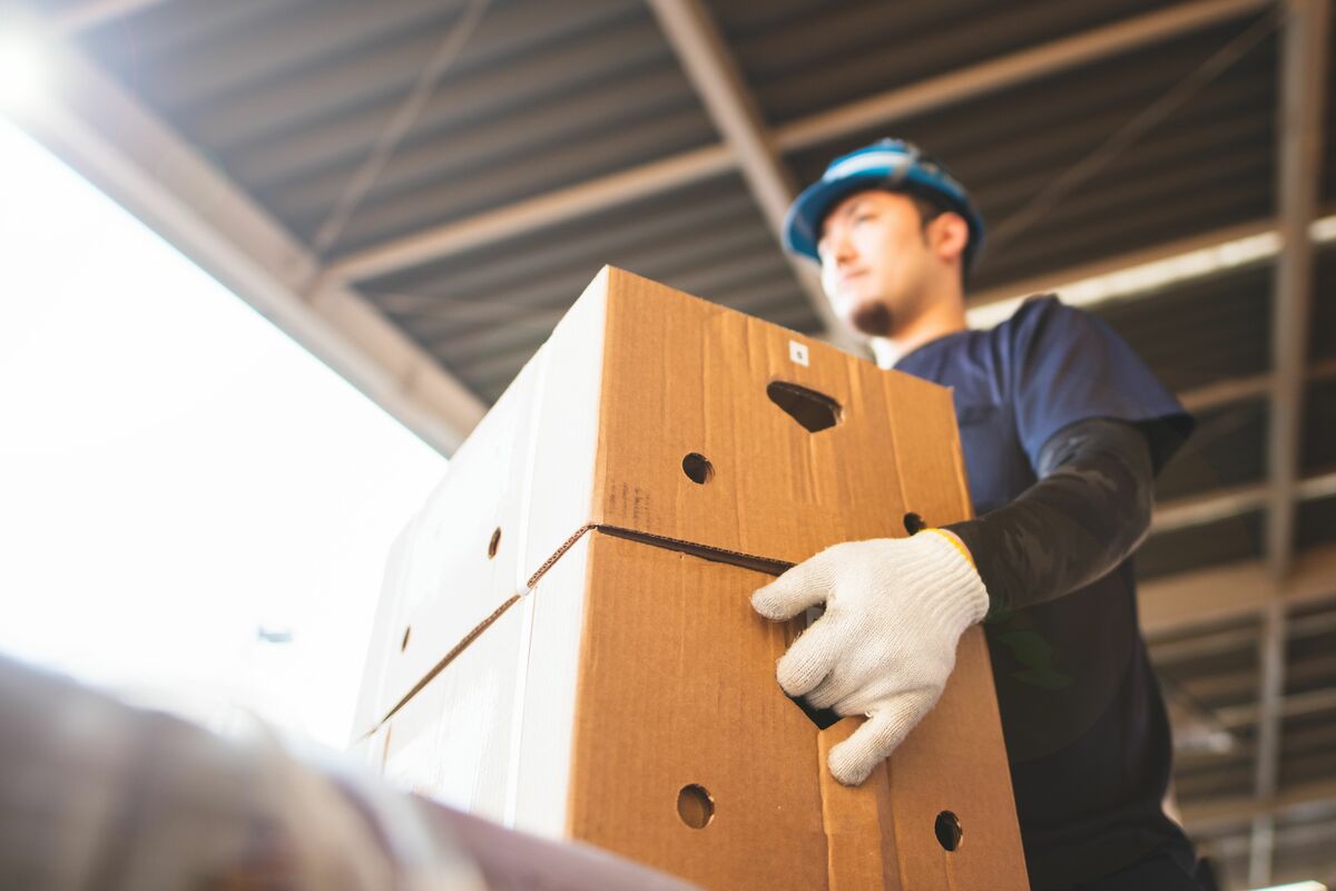 「スポットワーク」が2200万人規模に急拡大…タイミーが開拓しメルカリも参入、スキマ時間の労働力が争奪戦に 【やさしく解説】スポットワークとは? | JBpress (ジェイビープレス)