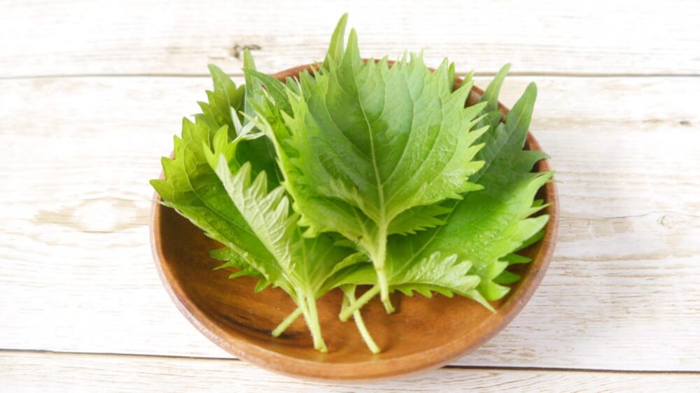 洗わずに使う野菜はなんですか？